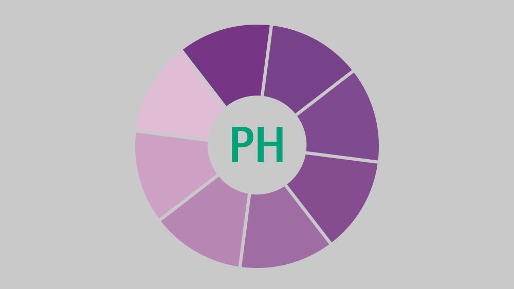 violettes Kreisdiagramm